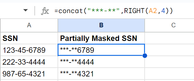 data masking in spreadsheet