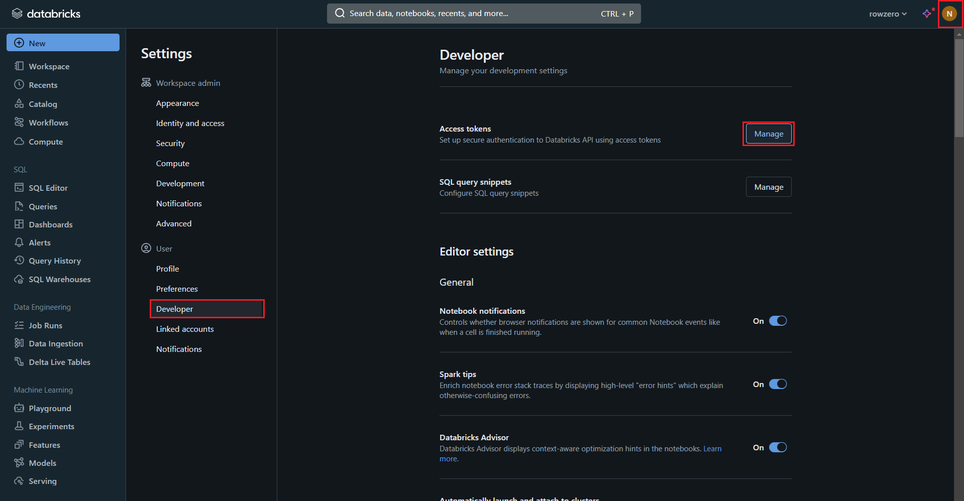 Databricks access token screen