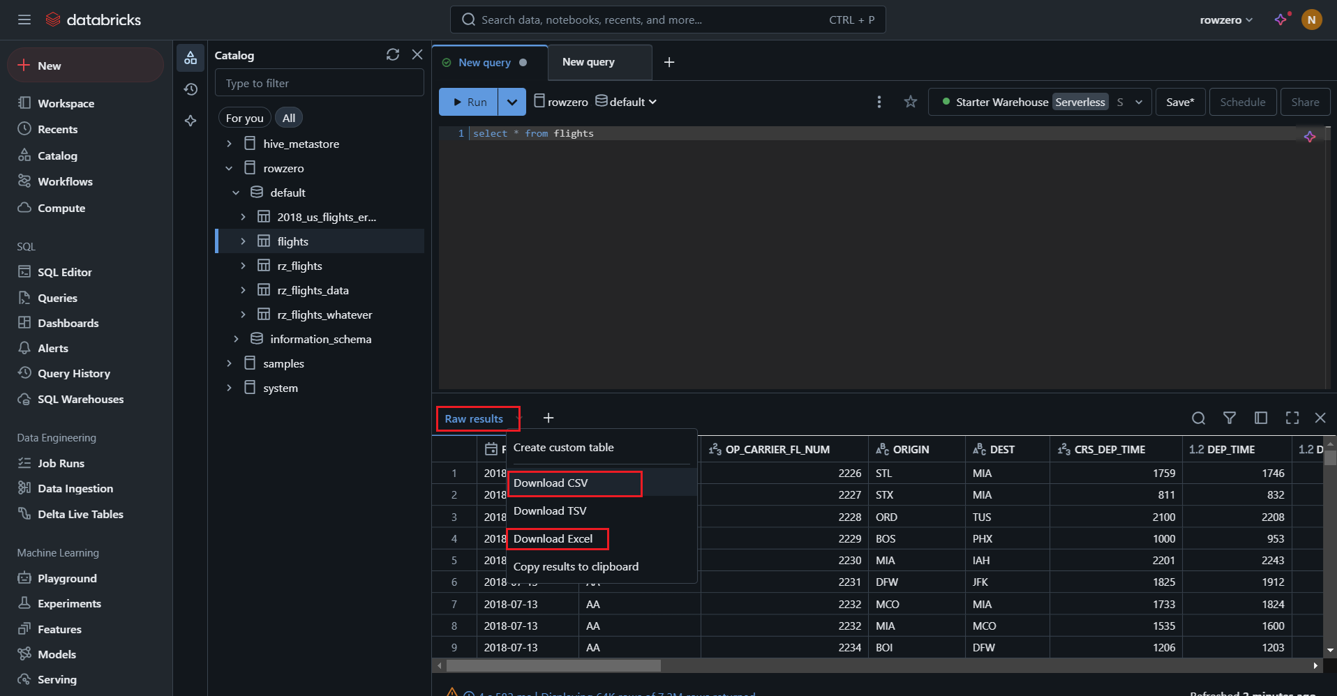 Databricks results download