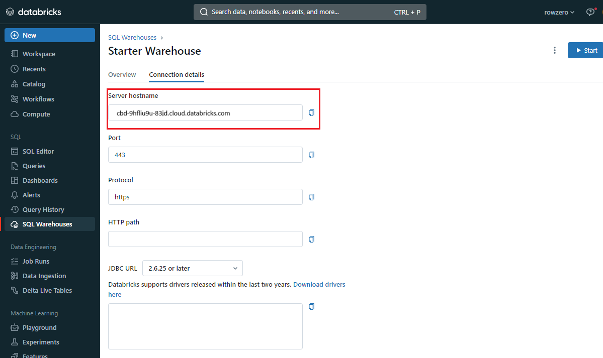 Databricks server hostname