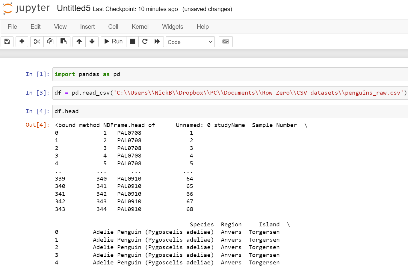 open big csv with python in jupyter notebook