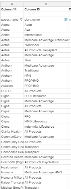 plan and payer name example